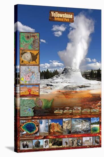 Yellowstone National Park-null-Stretched Canvas