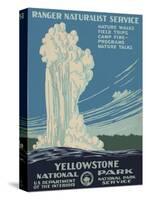 Yellowstone National Park-null-Stretched Canvas