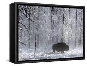 Yellowstone Norton-Laura Rauch-Framed Stretched Canvas