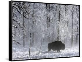 Yellowstone Norton-Laura Rauch-Framed Stretched Canvas