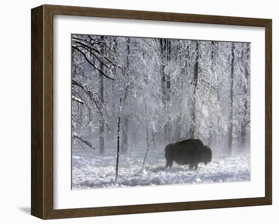 Yellowstone Norton-Laura Rauch-Framed Premium Photographic Print