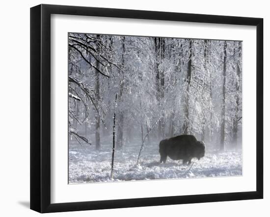 Yellowstone Norton-Laura Rauch-Framed Premium Photographic Print