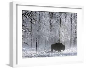 Yellowstone Norton-Laura Rauch-Framed Premium Photographic Print