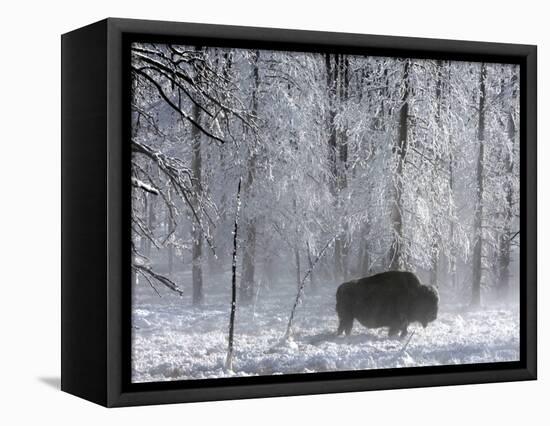Yellowstone Norton-Laura Rauch-Framed Stretched Canvas
