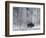 Yellowstone Norton-Laura Rauch-Framed Photographic Print