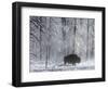 Yellowstone Norton-Laura Rauch-Framed Photographic Print