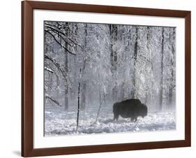 Yellowstone Norton-Laura Rauch-Framed Photographic Print