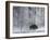 Yellowstone Norton-Laura Rauch-Framed Photographic Print