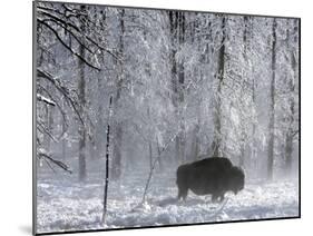 Yellowstone Norton-Laura Rauch-Mounted Photographic Print