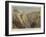 Yellowstone Park Illustrated, I-null-Framed Giclee Print