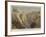 Yellowstone Park Illustrated, I-null-Framed Giclee Print