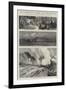 Yellowstone Park Illustrated, II-null-Framed Giclee Print