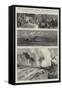 Yellowstone Park Illustrated, II-null-Framed Stretched Canvas