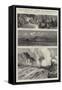 Yellowstone Park Illustrated, II-null-Framed Stretched Canvas