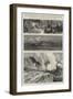 Yellowstone Park Illustrated, II-null-Framed Giclee Print