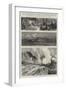 Yellowstone Park Illustrated, II-null-Framed Giclee Print