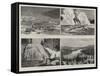 Yellowstone Park, Illustrated, II-null-Framed Stretched Canvas