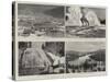 Yellowstone Park, Illustrated, II-null-Stretched Canvas