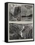 Yellowstone Park Illustrated, II-null-Framed Stretched Canvas