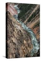 Yellowstone River and Grand Canyon of the Yellowstone, Yellowstone National Park, Wyoming, USA-Roddy Scheer-Stretched Canvas