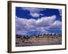 Yellowstone River at Pompeys Pillar National Historic Landmark, Billings, Montana-Connie Ricca-Framed Photographic Print