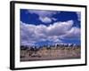 Yellowstone River at Pompeys Pillar National Historic Landmark, Billings, Montana-Connie Ricca-Framed Photographic Print