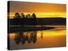 Yellowstone River at Sunrise, Hayden Valley, Yellowstone National Park, USA-Adam Jones-Stretched Canvas