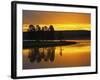 Yellowstone River at Sunrise, Hayden Valley, Yellowstone National Park, USA-Adam Jones-Framed Photographic Print