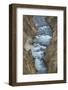 Yellowstone River cutting through rhyolite cliffs, Grand Canyon of the Yellowstone, Yellowstone NP-Alan Majchrowicz-Framed Photographic Print