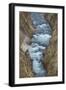 Yellowstone River cutting through rhyolite cliffs, Grand Canyon of the Yellowstone, Yellowstone NP-Alan Majchrowicz-Framed Photographic Print