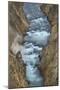 Yellowstone River cutting through rhyolite cliffs, Grand Canyon of the Yellowstone, Yellowstone NP-Alan Majchrowicz-Mounted Photographic Print