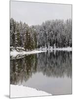 Yellowstone River in Winter, Yellowstone National Park, UNESCO World Heritage Site, Wyoming, USA-Pitamitz Sergio-Mounted Photographic Print