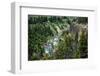 Yellowstone River Picnic Area, Yellowstone National Park, Wyoming, USA-Roddy Scheer-Framed Photographic Print