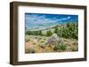 Yellowstone River Picnic Area, Yellowstone National Park, Wyoming, USA-Roddy Scheer-Framed Photographic Print