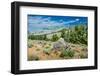 Yellowstone River Picnic Area, Yellowstone National Park, Wyoming, USA-Roddy Scheer-Framed Photographic Print