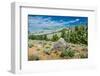 Yellowstone River Picnic Area, Yellowstone National Park, Wyoming, USA-Roddy Scheer-Framed Photographic Print