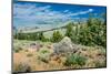 Yellowstone River Picnic Area, Yellowstone National Park, Wyoming, USA-Roddy Scheer-Mounted Photographic Print