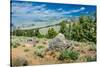 Yellowstone River Picnic Area, Yellowstone National Park, Wyoming, USA-Roddy Scheer-Stretched Canvas