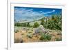 Yellowstone River Picnic Area, Yellowstone National Park, Wyoming, USA-Roddy Scheer-Framed Photographic Print