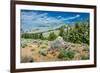 Yellowstone River Picnic Area, Yellowstone National Park, Wyoming, USA-Roddy Scheer-Framed Photographic Print