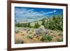 Yellowstone River Picnic Area, Yellowstone National Park, Wyoming, USA-Roddy Scheer-Framed Photographic Print