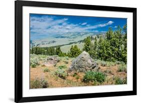 Yellowstone River Picnic Area, Yellowstone National Park, Wyoming, USA-Roddy Scheer-Framed Photographic Print