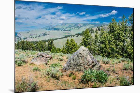 Yellowstone River Picnic Area, Yellowstone National Park, Wyoming, USA-Roddy Scheer-Mounted Photographic Print