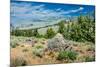 Yellowstone River Picnic Area, Yellowstone National Park, Wyoming, USA-Roddy Scheer-Mounted Photographic Print