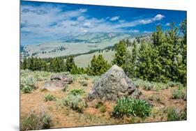 Yellowstone River Picnic Area, Yellowstone National Park, Wyoming, USA-Roddy Scheer-Mounted Photographic Print