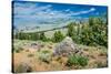 Yellowstone River Picnic Area, Yellowstone National Park, Wyoming, USA-Roddy Scheer-Stretched Canvas