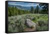 Yellowstone River Picnic Area, Yellowstone National Park, Wyoming, USA-Roddy Scheer-Framed Stretched Canvas