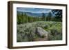 Yellowstone River Picnic Area, Yellowstone National Park, Wyoming, USA-Roddy Scheer-Framed Photographic Print