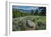 Yellowstone River Picnic Area, Yellowstone National Park, Wyoming, USA-Roddy Scheer-Framed Photographic Print