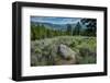 Yellowstone River Picnic Area, Yellowstone National Park, Wyoming, USA-Roddy Scheer-Framed Photographic Print